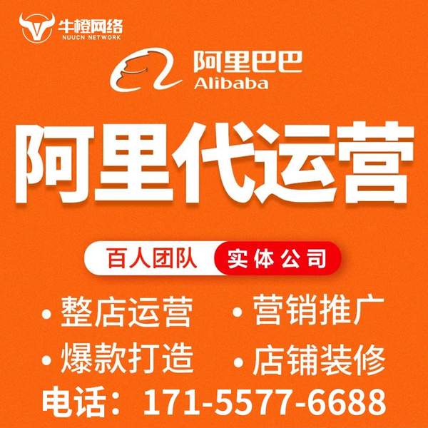 固原电商代运营