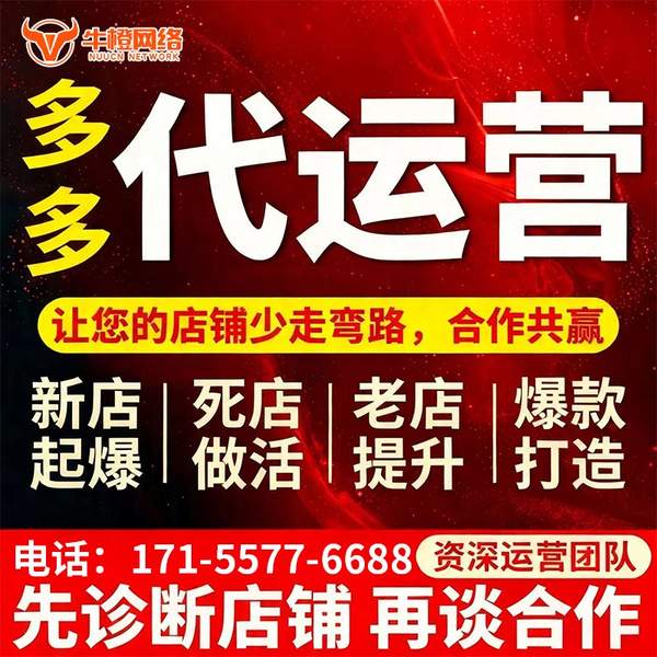 固原电商代运营