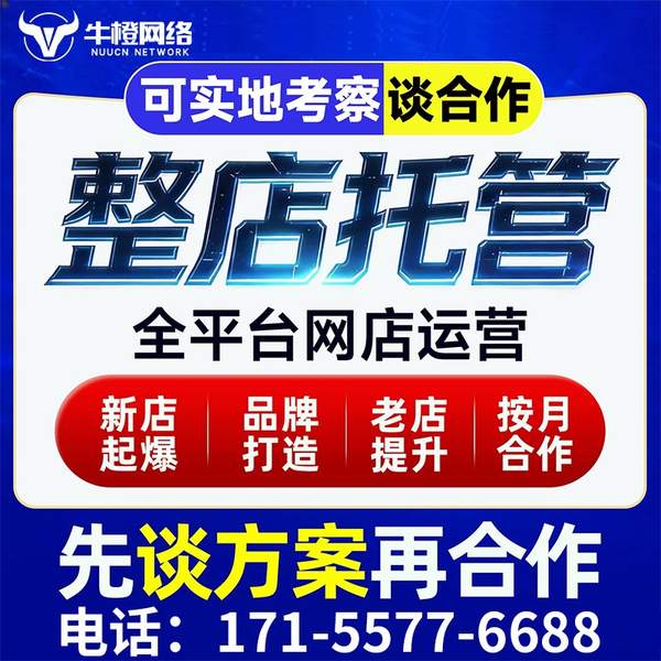 固原电商代运营