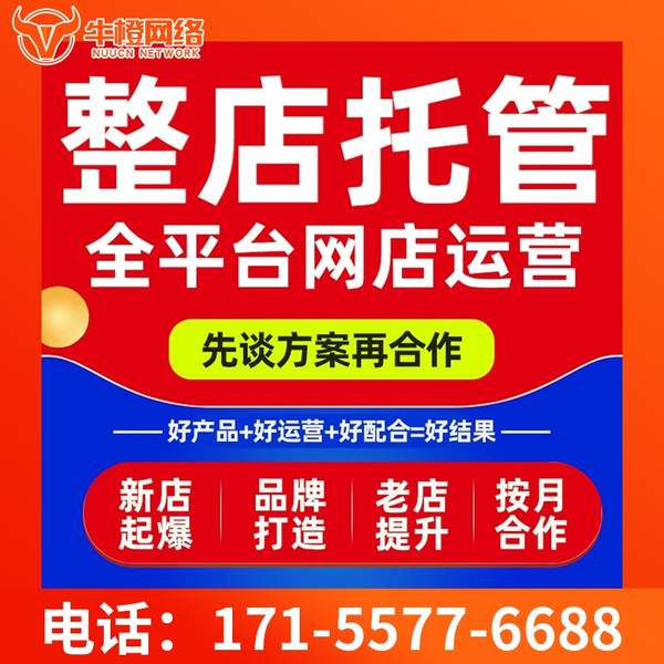 固原电商代运营