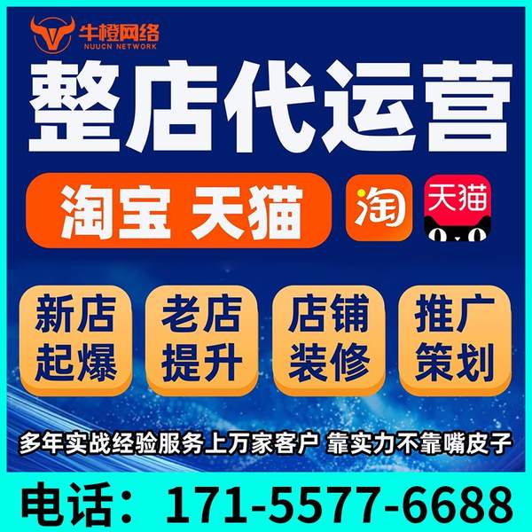 固原电商代运营