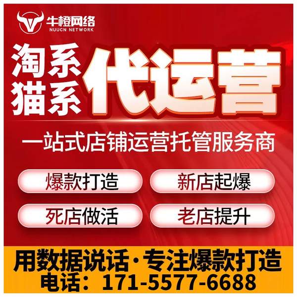 固原电商代运营